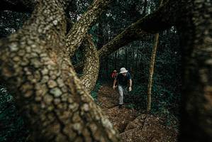 BIB: 
                            <button type="button" onclick="openModal(25699946)" class="btn btn-primary btn-sm float-right btn-popup" data-toggle="modal" data-target=".modal-high-quality">
                        <i class="fas fa-shopping-cart"></i> Add to Cart
                    </button>
                                            <button type="button" onclick="isThisMe(25699946, true)" class="btn btn-success btn-sm float-right btn-popup btn-isme hidden" data-toggle="tooltip" data-placement="bottom" title="นี่คือรูปของคุณใช่ไหม คลิกที่นี่เพื่อเอาเข้าอัลบั้ม">
                        <i class="fas fa-plus"></i> Add to album
                    </button>
                    <button type="button" onclick="isThisMe(25699946, false)" class="btn btn-warning btn-sm float-right btn-popup btn-isnotme hidden">
                        <i class="fas fa-ban"></i> Remove from album
                    </button>